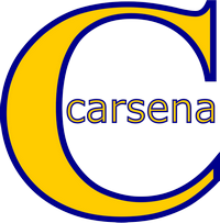 Carsena Technology Services